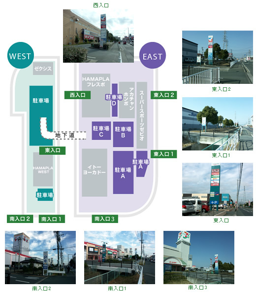 �p�[�L���OMAP